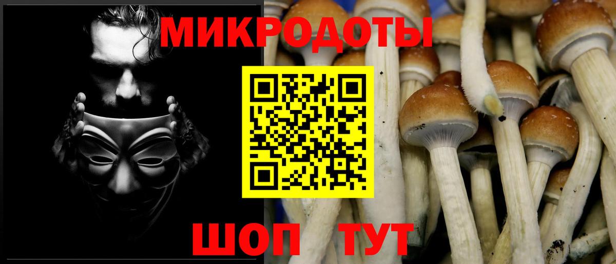 Галлюциногенные грибы Magic Shrooms Волгоград