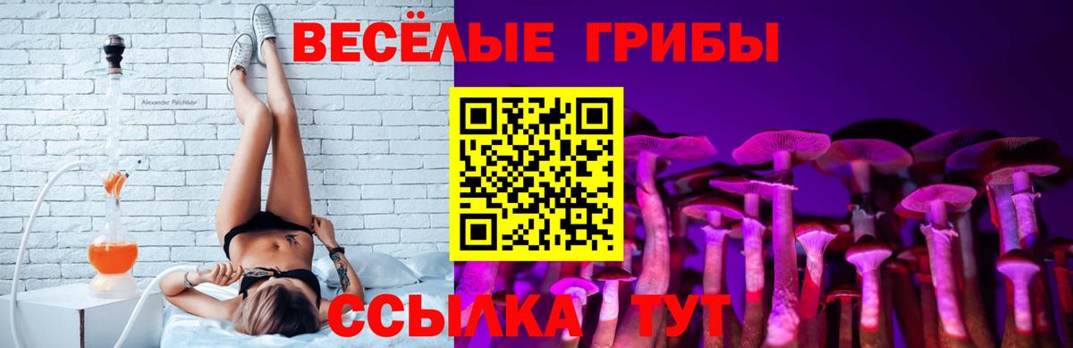 Волгоград  Псилоцибиновые грибы Psilocybe  Вход с VPN 